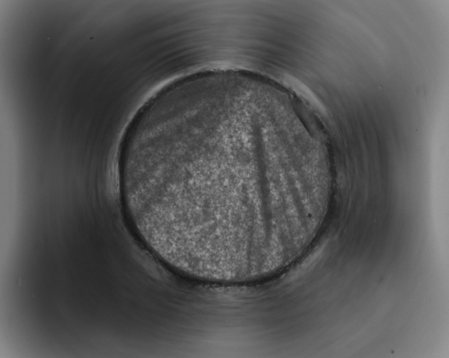 X0000091910934200709261713