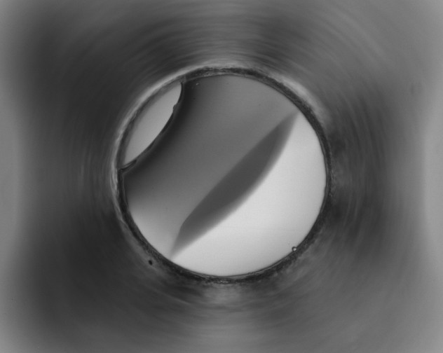 X0000091910935200709261713