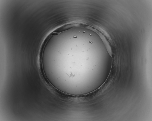 X0000091910936200709261713