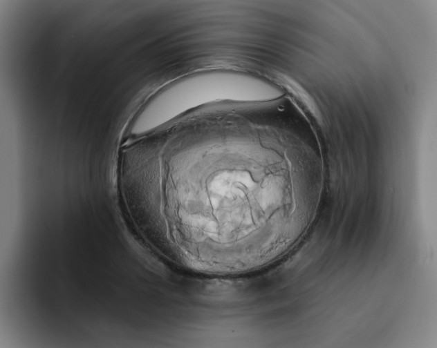 X0000091910938200709261713