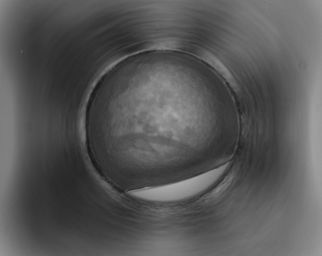 X0000091910939200709261713