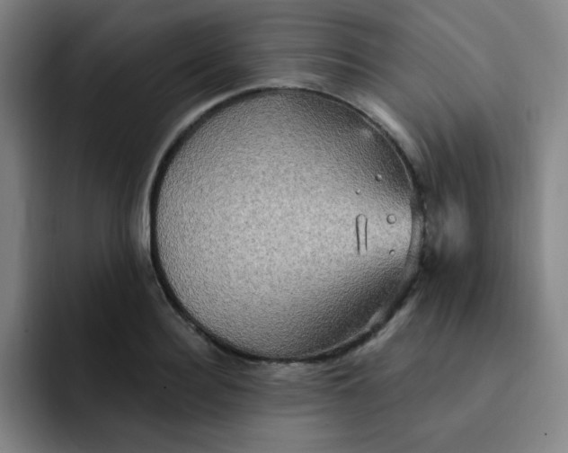 X0000091910940200709261713