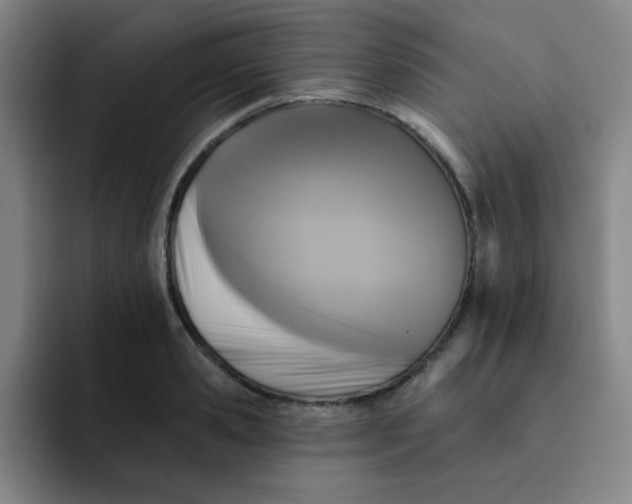 X0000091910941200709261713