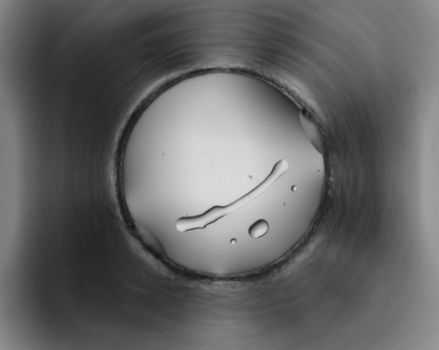 X0000091910942200709261713