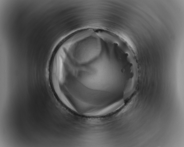 X0000091910944200709261713