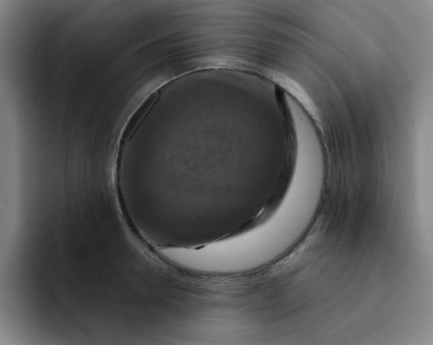 X0000091910946200709261713