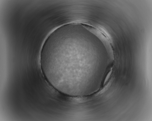 X0000091910948200709261713