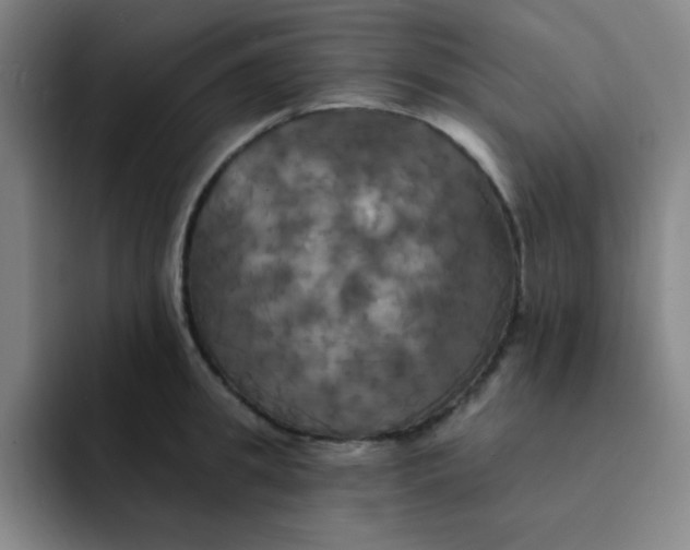 X0000091910949200709261713