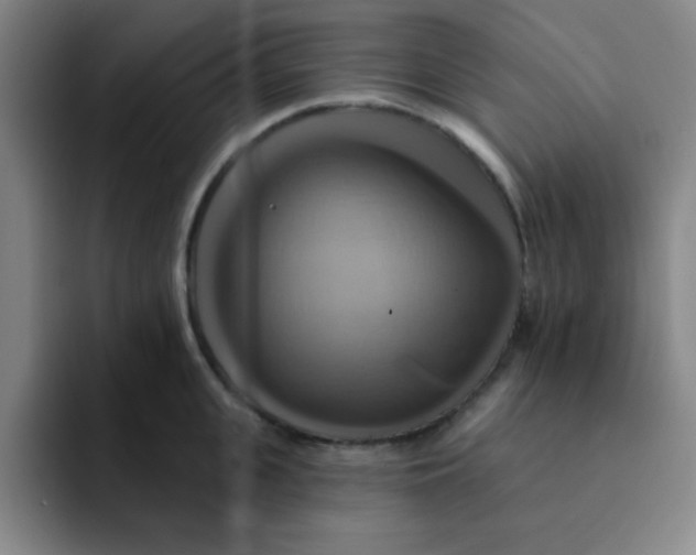 X0000091910951200709261713