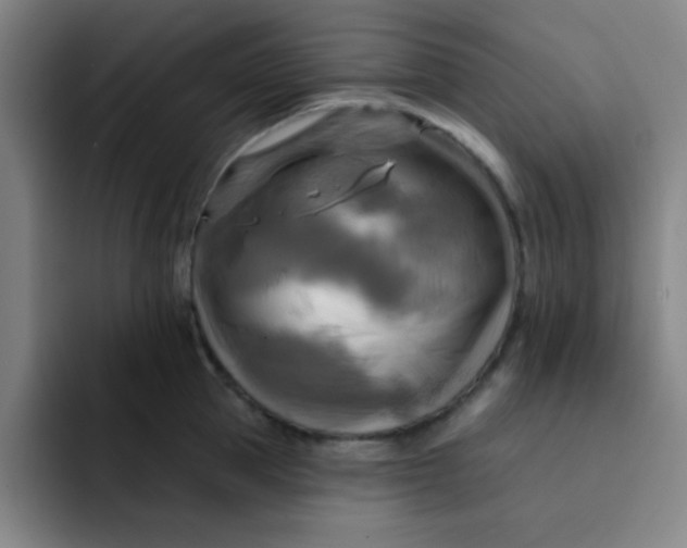 X0000091910953200709261713