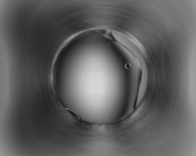 X0000091910956200709261713