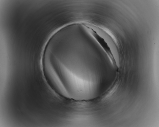 X0000091910959200709261713