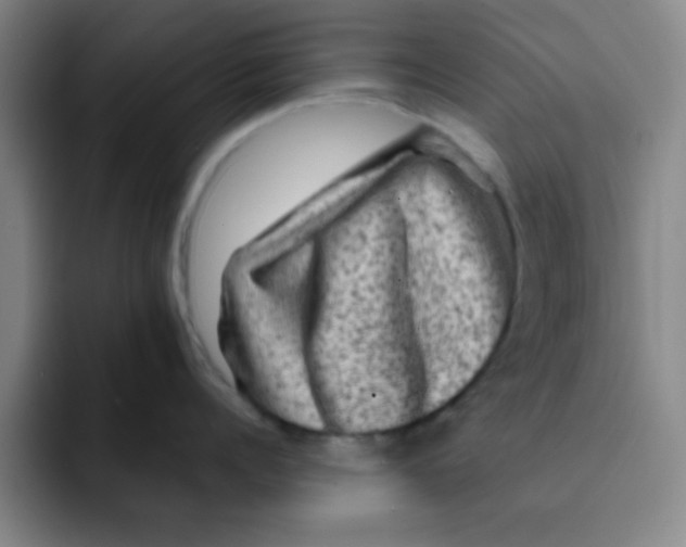 X0000091910960200709261713