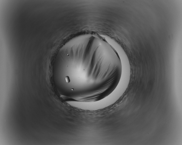 X0000091910961200709261713