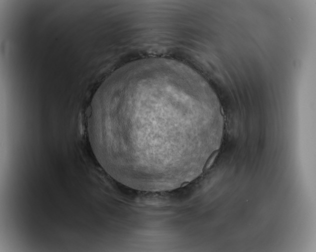 X0000091910962200709261713