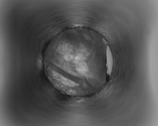 X0000091910963200709261713