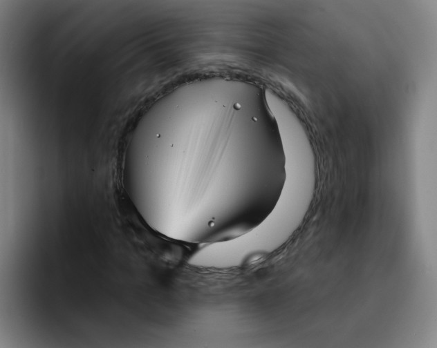 X0000091910965200709261713