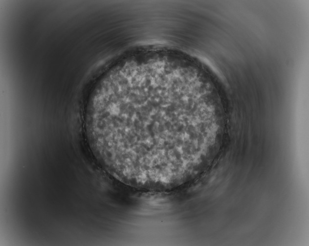 X0000091910967200709261713