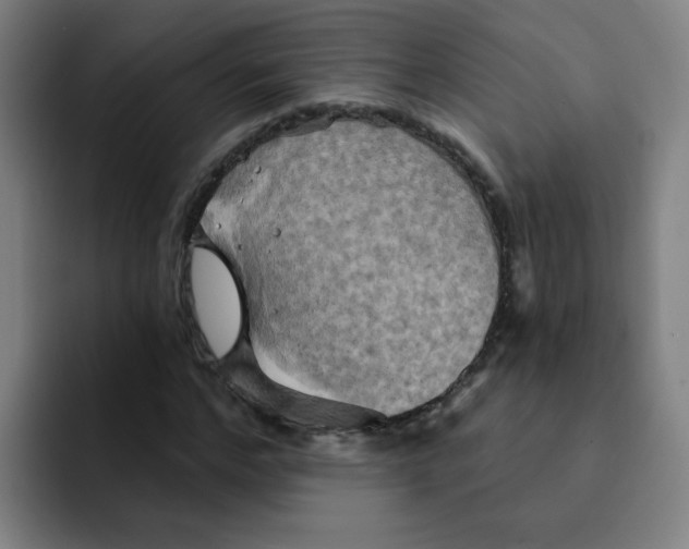 X0000091910968200709261713