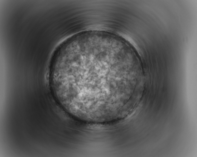 X0000091910971200709261713