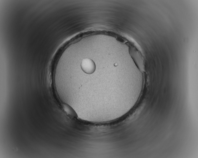 X0000091910973200709261713