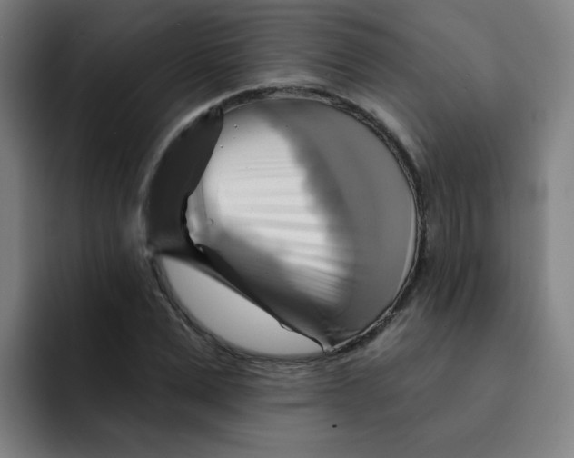 X0000091910975200709261712