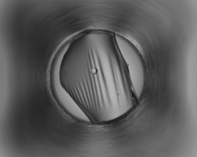 X0000091910976200709261712