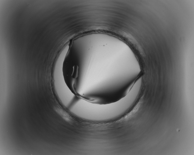 X0000091910977200709261712