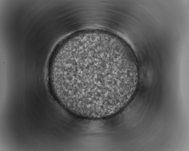 X0000091910979200709261712