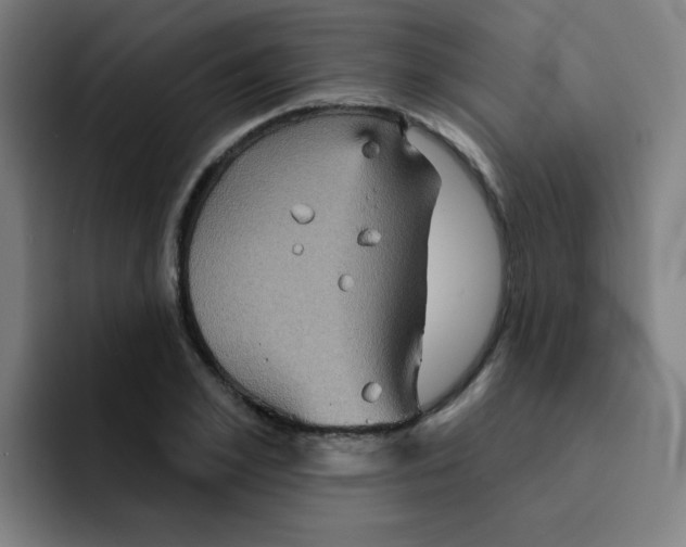 X0000091910981200709261712