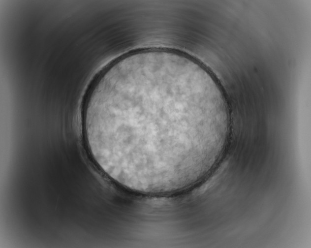 X0000091910982200709261712