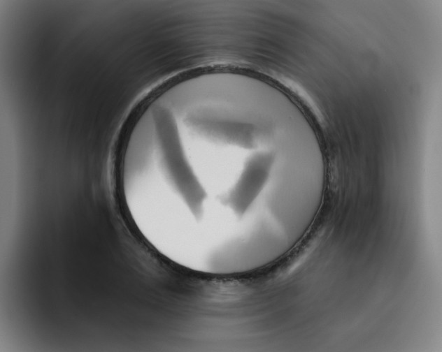 X0000091910983200709261712