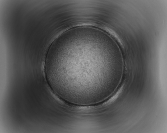 X0000091910985200709261712