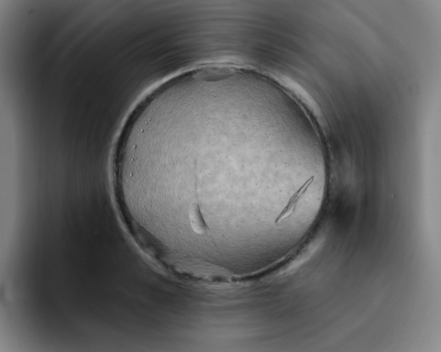 X0000091910989200709261712