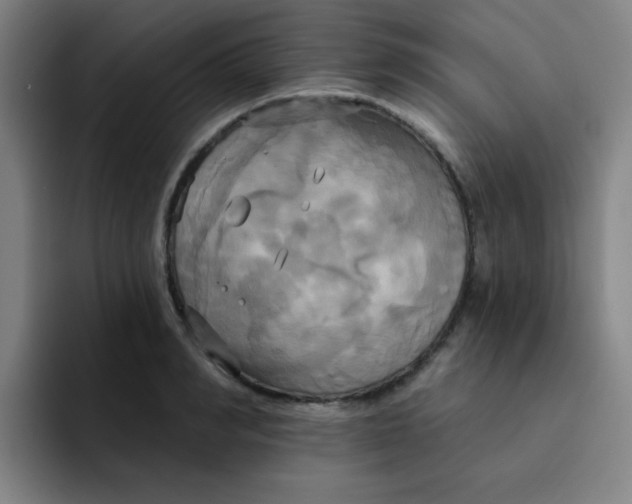 X0000091910990200709261712