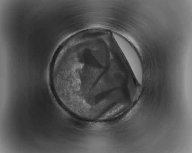 X0000091910991200709261712