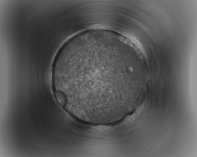 X0000091910992200709261712