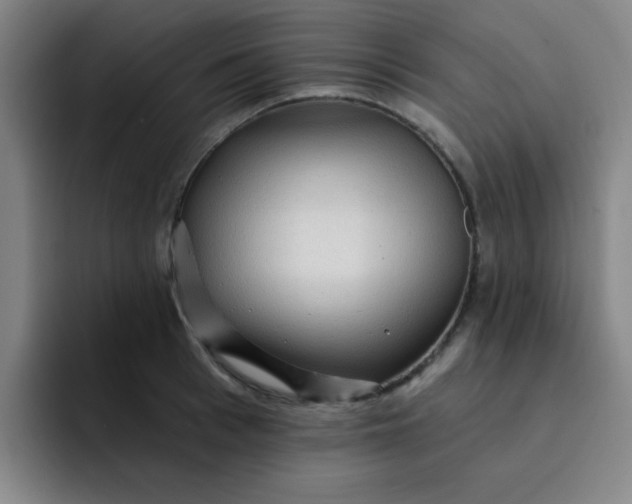 X0000091910993200709261712