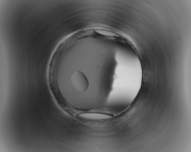 X0000091910995200709261712