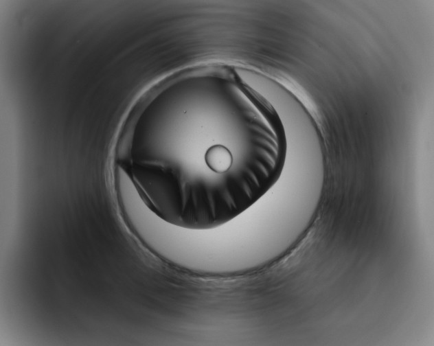 X0000091910996200709261712