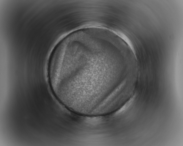 X0000091910997200709261712