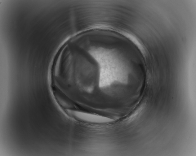 X0000091910999200709261712