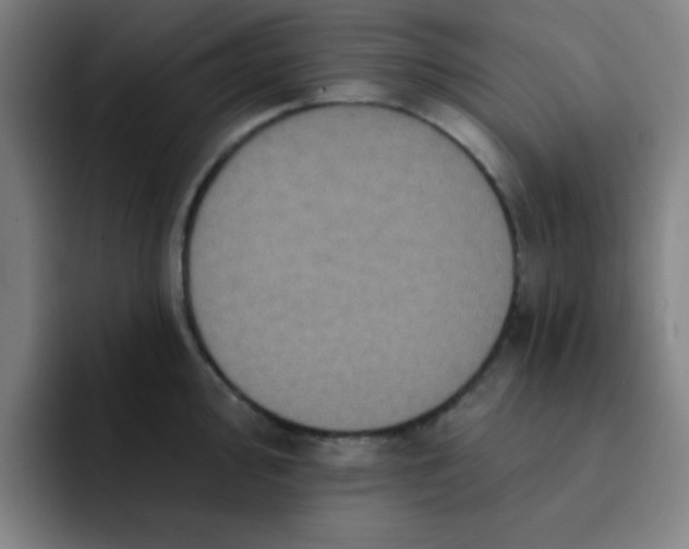 X0000091911000200709261712