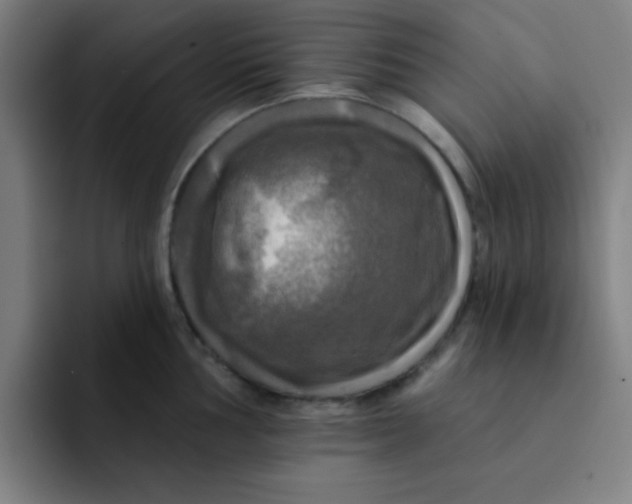 X0000091911002200709261712