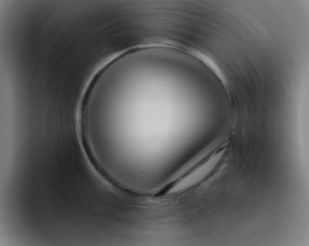 X0000091911003200709261712