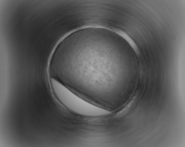 X0000091911004200709261712