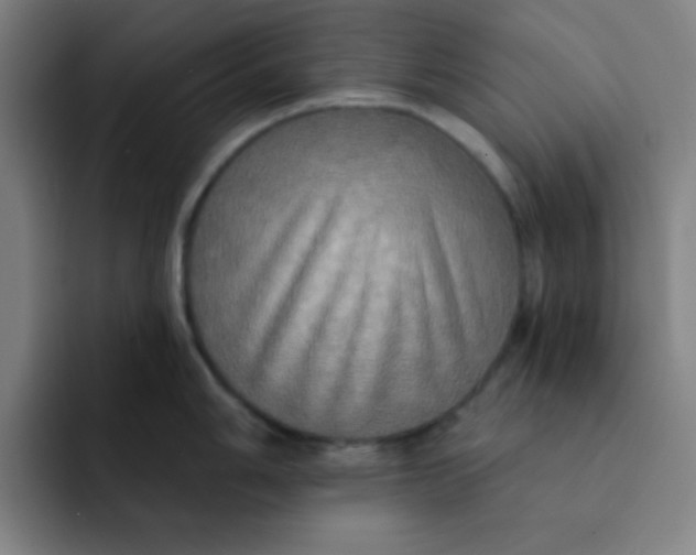 X0000091911006200709261712