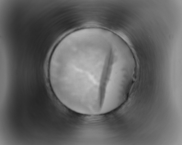 X0000091911008200709261712