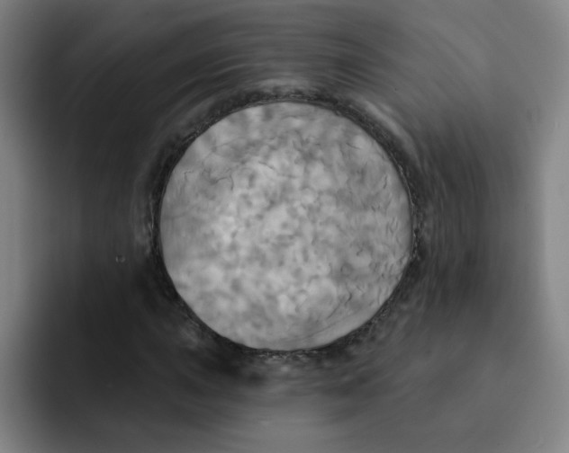 X0000091911015200709261712