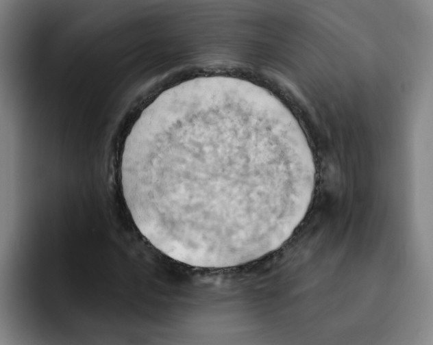 X0000091911016200709261712